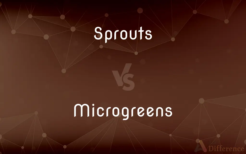 Sprouts vs. Microgreens — What's the Difference?