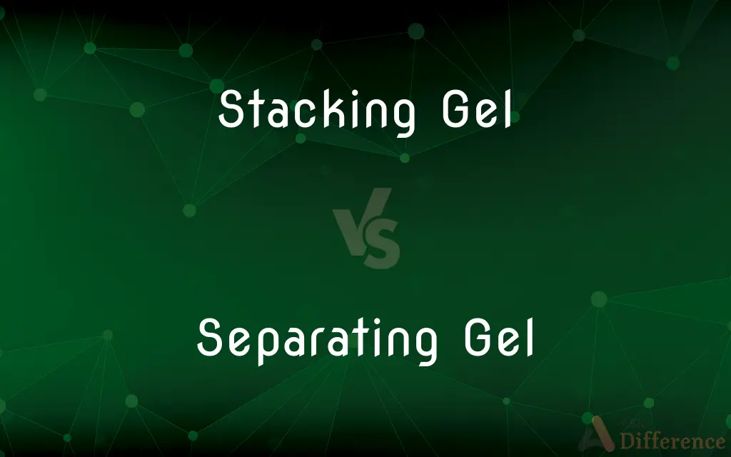 Stacking Gel vs. Separating Gel — What's the Difference?