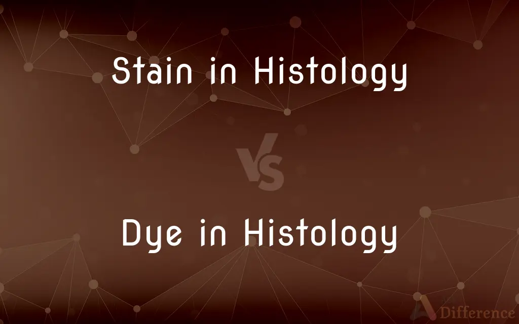 Stain in Histology vs. Dye in Histology — What's the Difference?