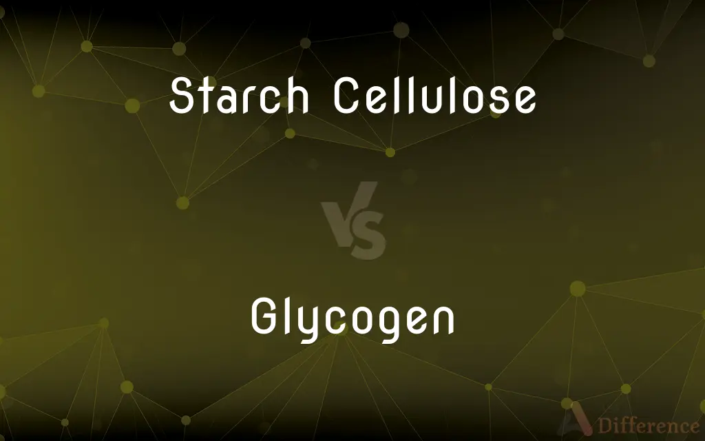 Starch Cellulose vs. Glycogen — What's the Difference?