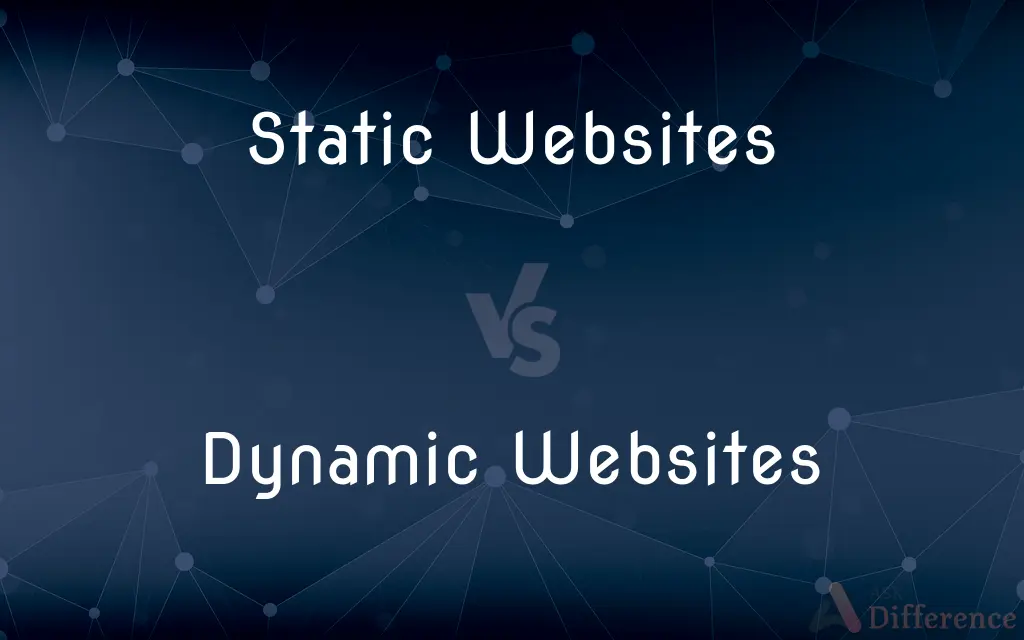 Static Websites vs. Dynamic Websites — What's the Difference?