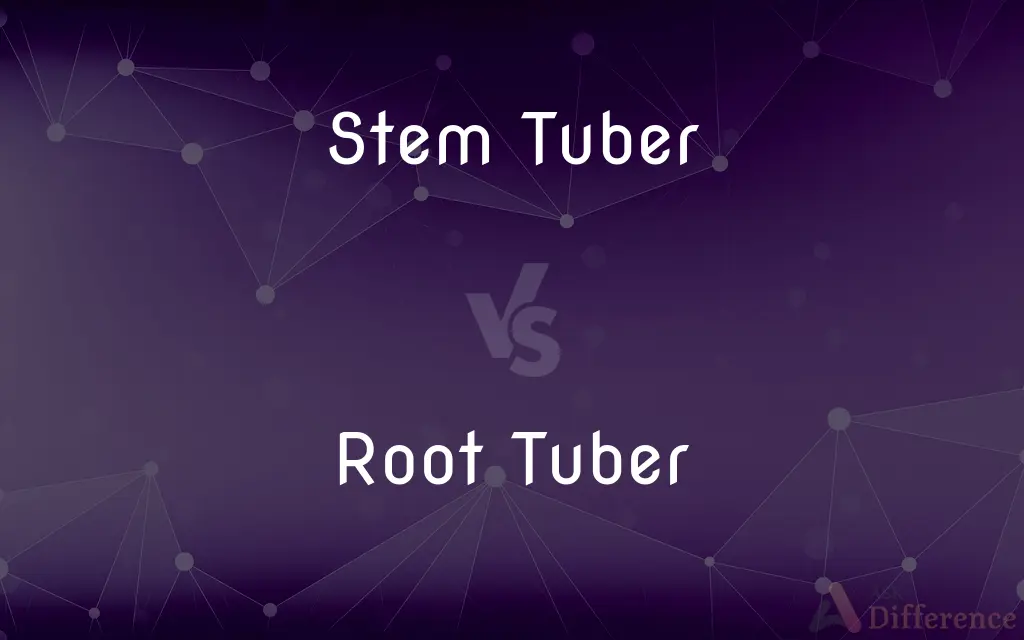 Stem Tuber vs. Root Tuber — What's the Difference?