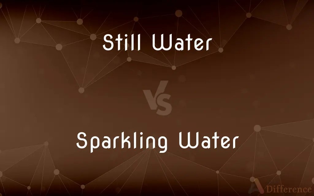 Still Water vs. Sparkling Water — What's the Difference?