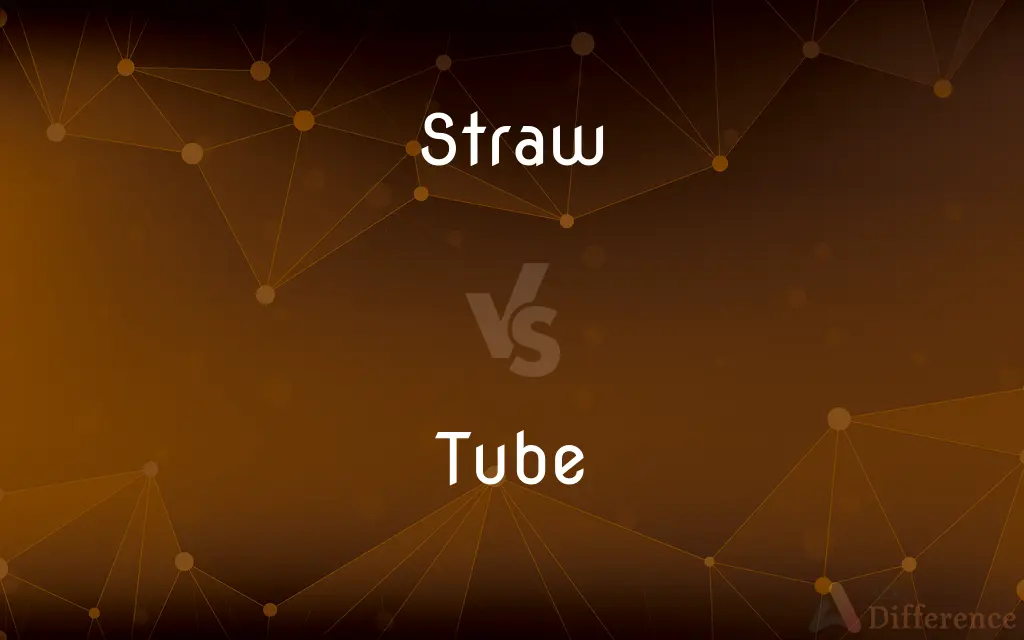 Straw vs. Tube — What's the Difference?