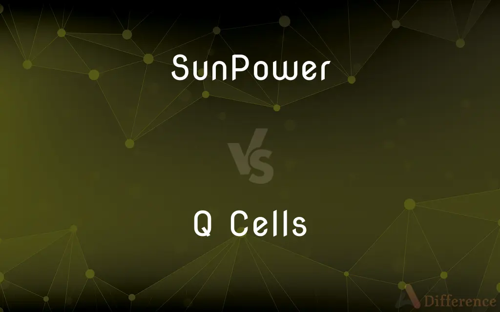 SunPower vs. Q Cells — What's the Difference?