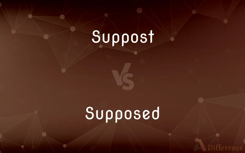 Suppost vs. Supposed — Which is Correct Spelling?