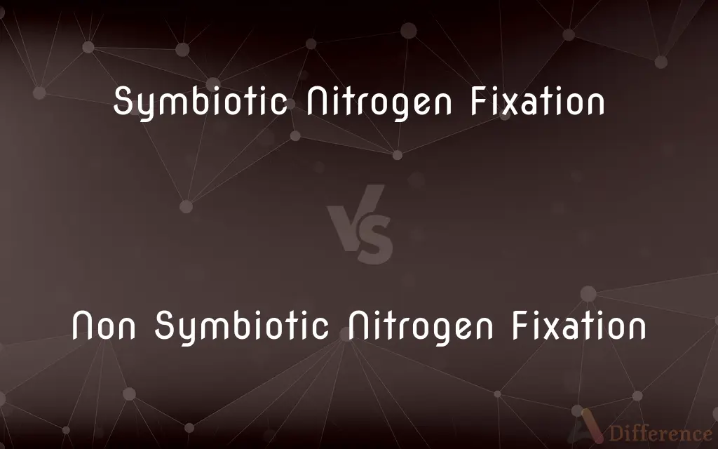 Symbiotic Nitrogen Fixation vs. Non Symbiotic Nitrogen Fixation — What's the Difference?