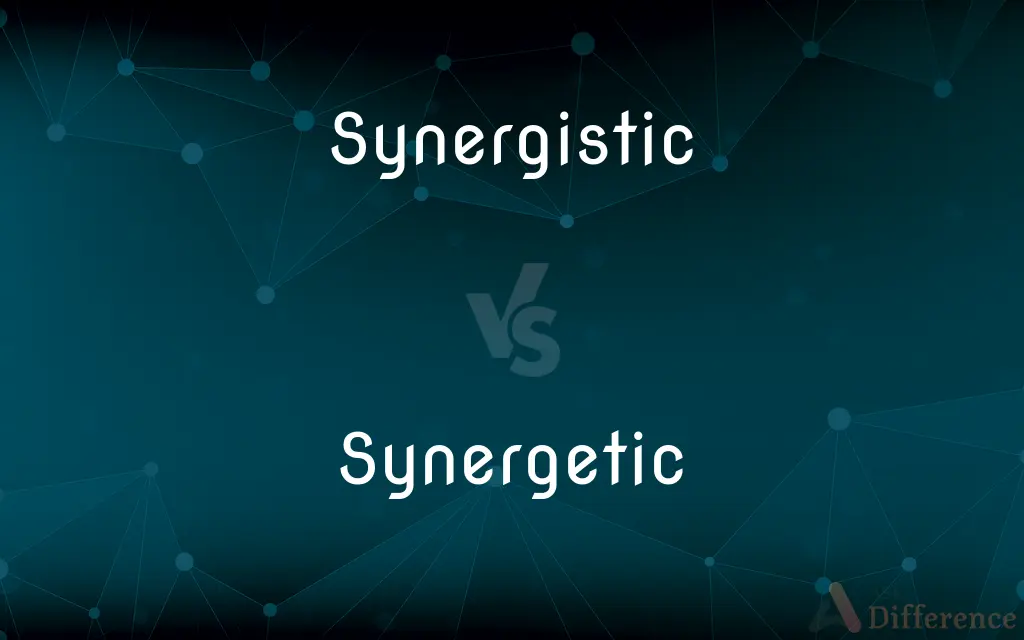 Synergistic Vs Synergetic What s The Difference 