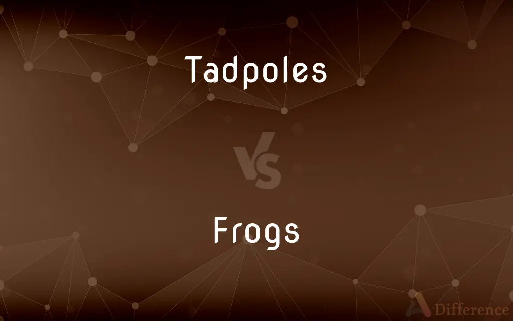 Tadpoles vs. Frogs — What's the Difference?