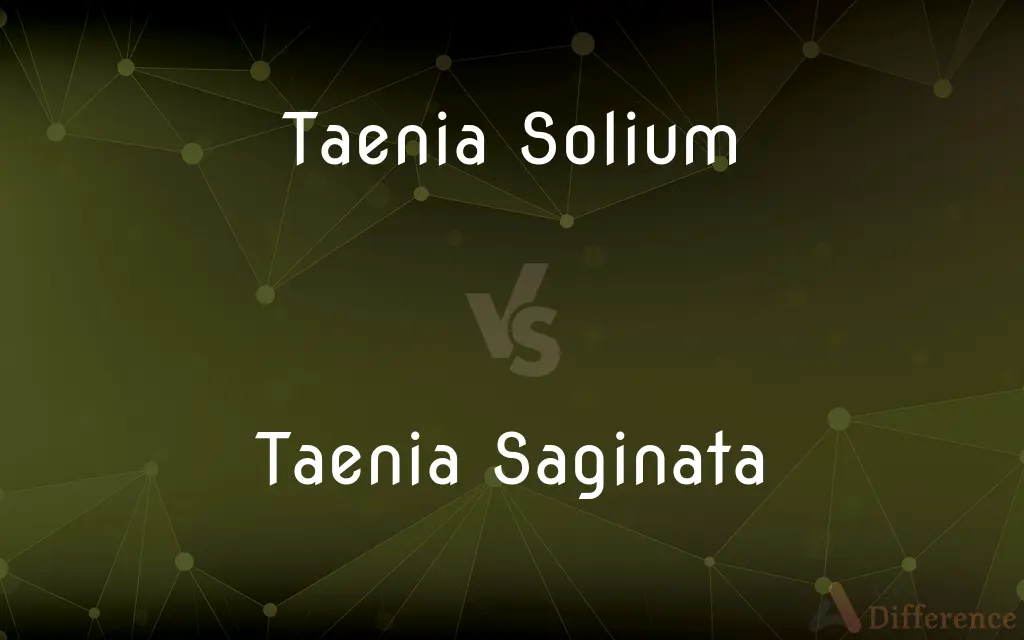 Taenia Solium vs. Taenia Saginata — What's the Difference?