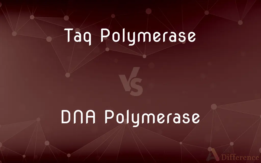 Taq Polymerase vs. DNA Polymerase — What's the Difference?