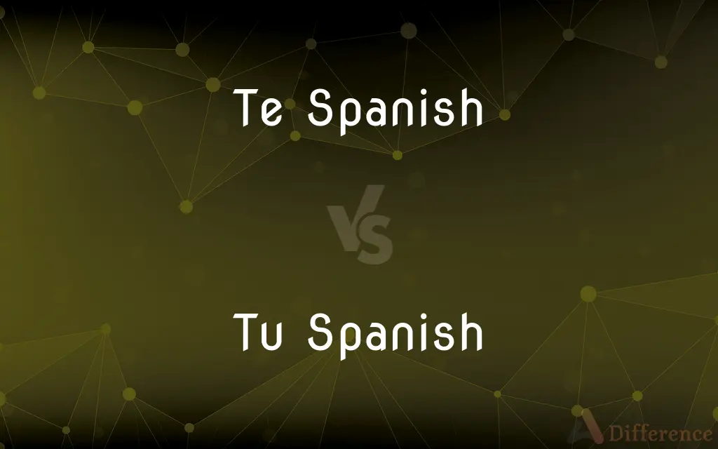 Te Spanish vs. Tu Spanish — What's the Difference?