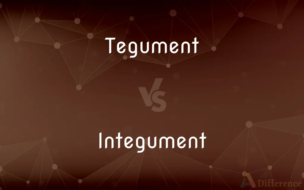 Tegument vs. Integument — What's the Difference?