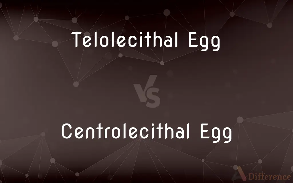 Telolecithal Egg vs. Centrolecithal Egg — What's the Difference?