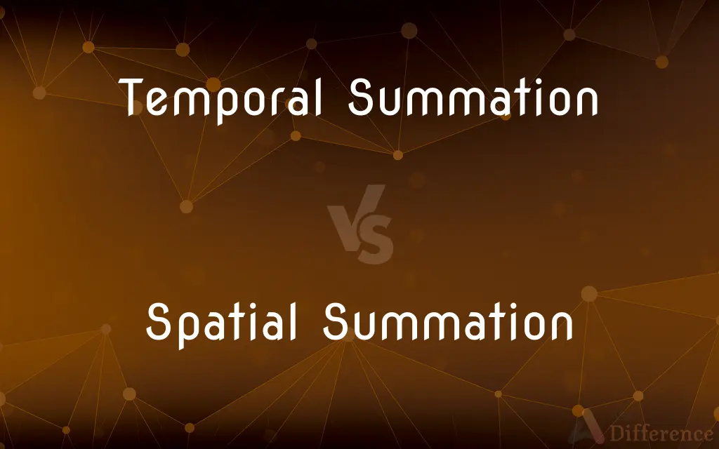 Temporal Summation vs. Spatial Summation — What's the Difference?