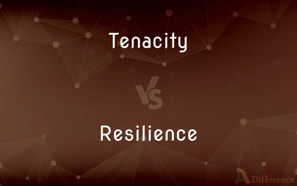Tenacity vs. Resilience — What's the Difference?