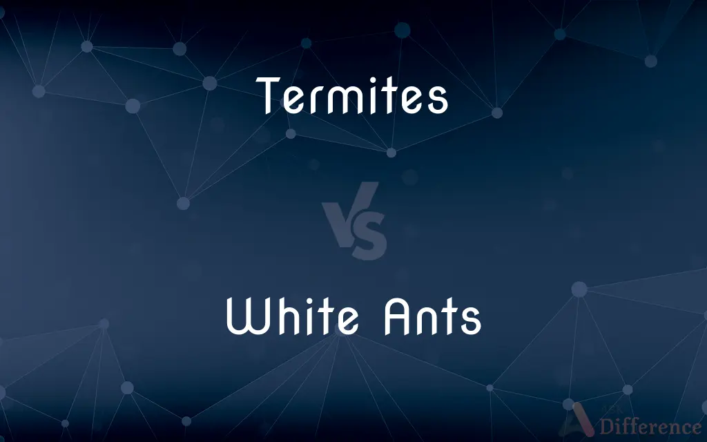 Termites vs. White Ants — What's the Difference?