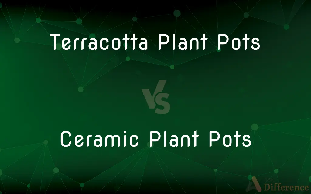 Terracotta Plant Pots vs. Ceramic Plant Pots — What's the Difference?
