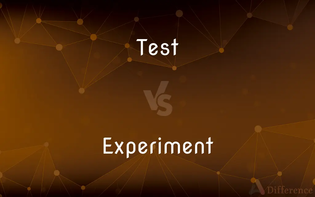 Test Vs Experiment What s The Difference 