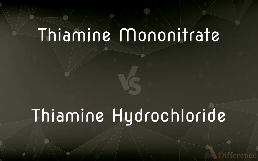 Thiamine Mononitrate vs. Thiamine Hydrochloride — What's the Difference?