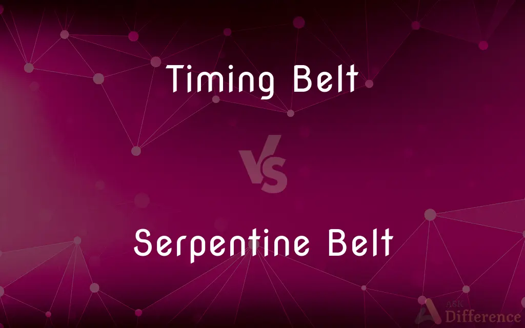 Timing Belt vs. Serpentine Belt — What's the Difference?