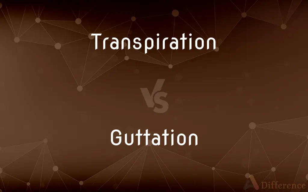 Transpiration vs. Guttation — What's the Difference?