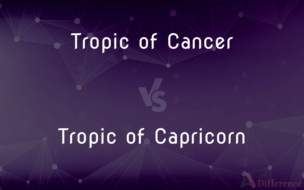 Tropic of Cancer vs. Tropic of Capricorn — What's the Difference?