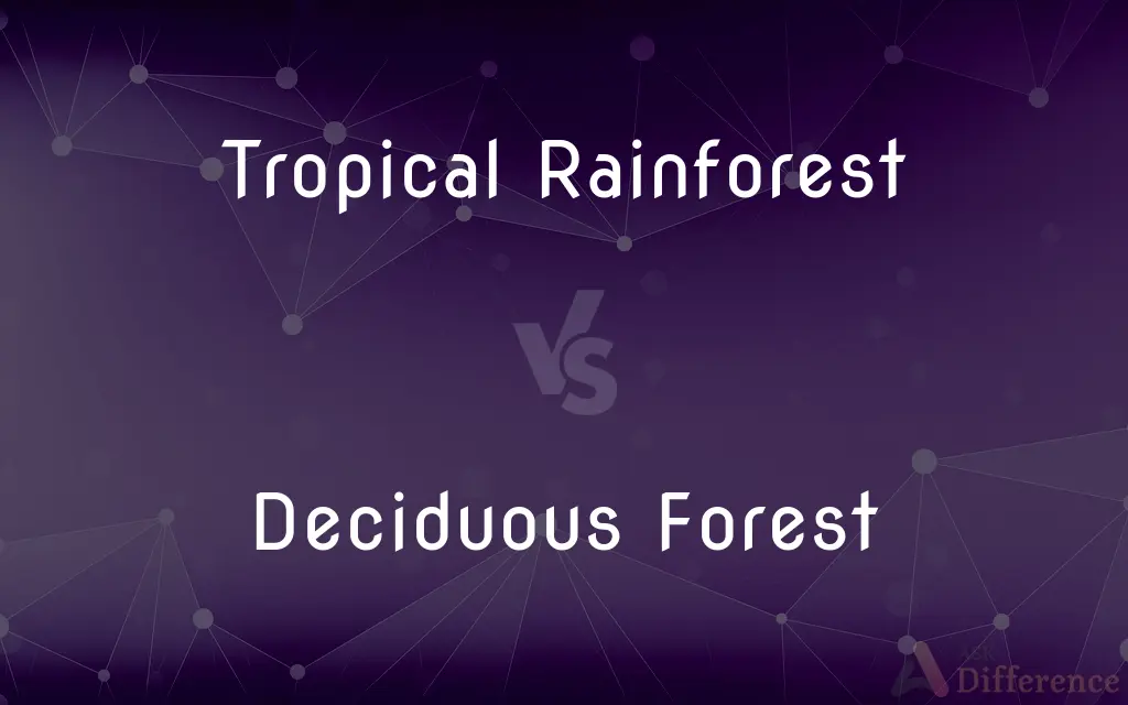 Tropical Rainforest vs. Deciduous Forest — What's the Difference?