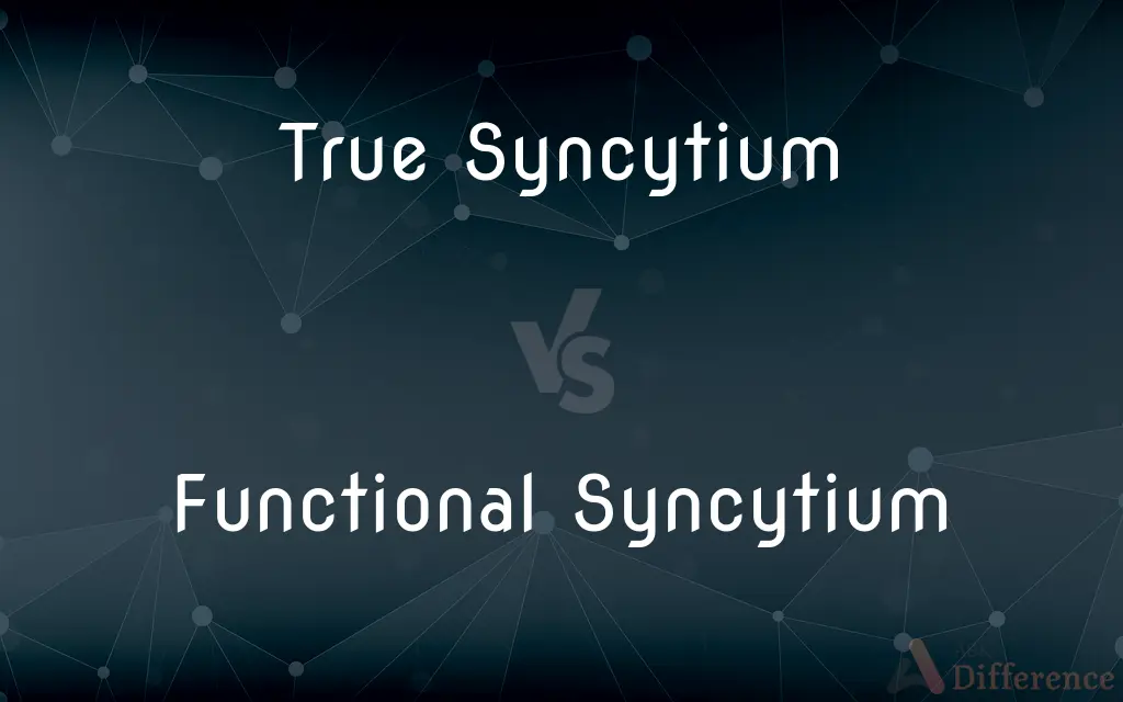 True Syncytium vs. Functional Syncytium — What's the Difference?