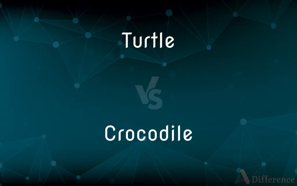 Turtle vs. Crocodile — What's the Difference?