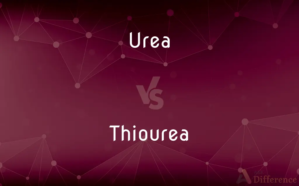 Urea vs. Thiourea — What's the Difference?