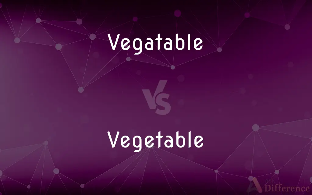 Vegatable vs. Vegetable — Which is Correct Spelling?