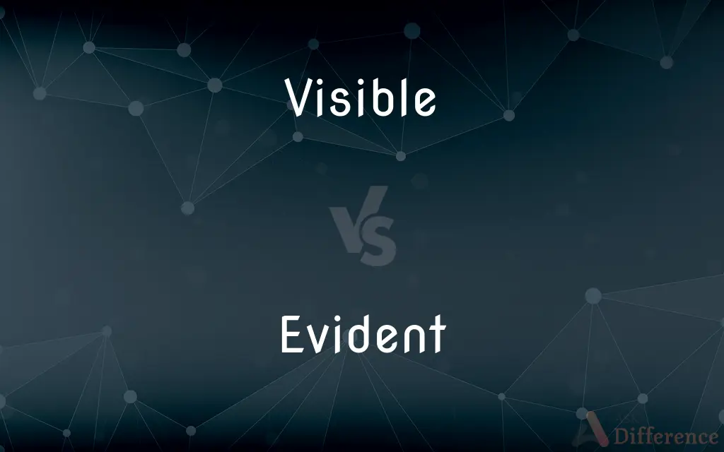 Visible vs. Evident — What's the Difference?