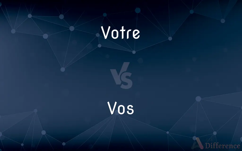 Votre vs. Vos — What's the Difference?