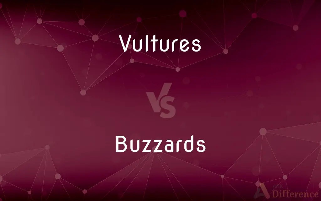 Vultures vs. Buzzards — What's the Difference?