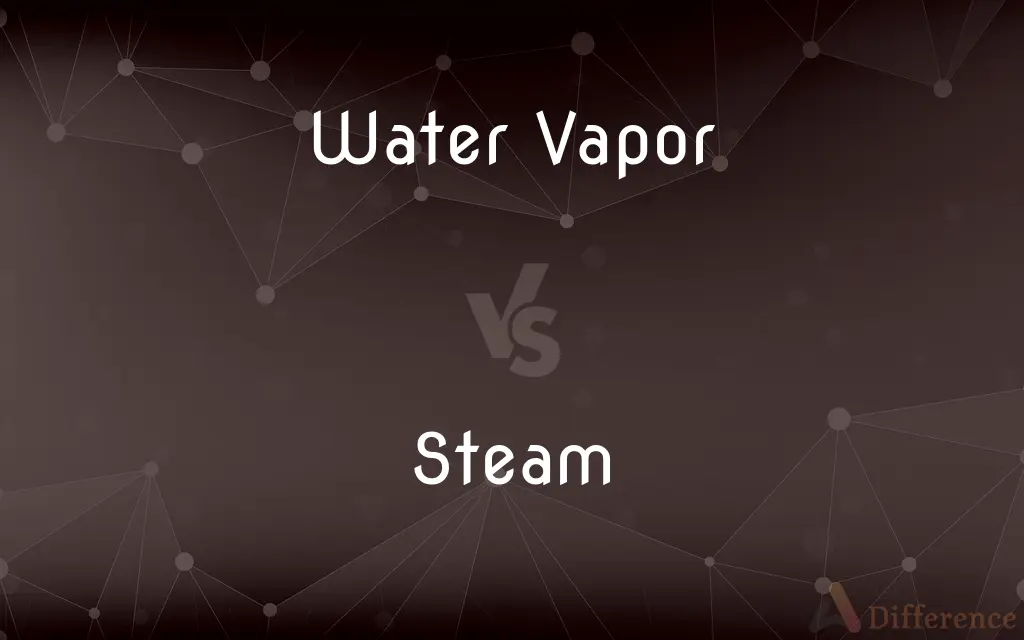 Water Vapor vs. Steam — What's the Difference?