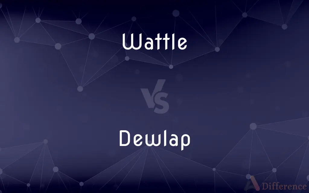 Wattle vs. Dewlap — What's the Difference?