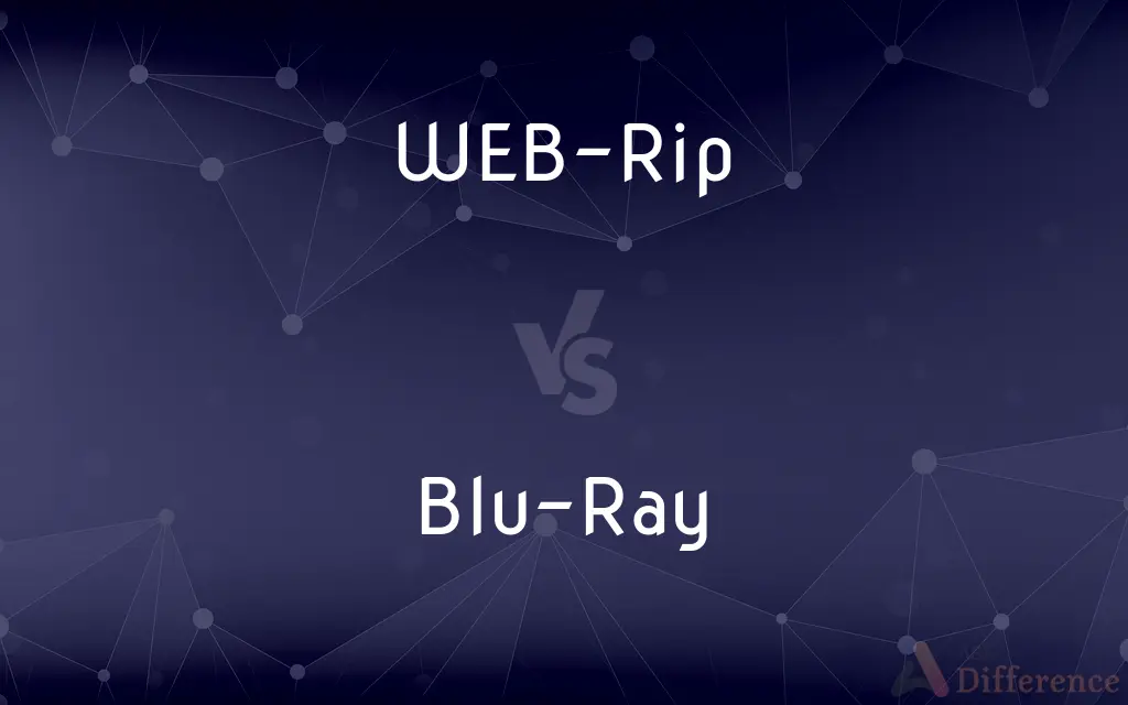 WEB-Rip vs. Blu-Ray — What's the Difference?