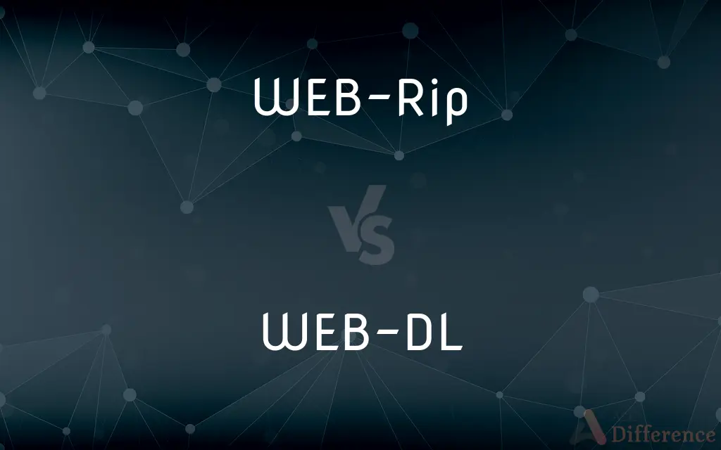 WEB-Rip vs. WEB-DL — What's the Difference?