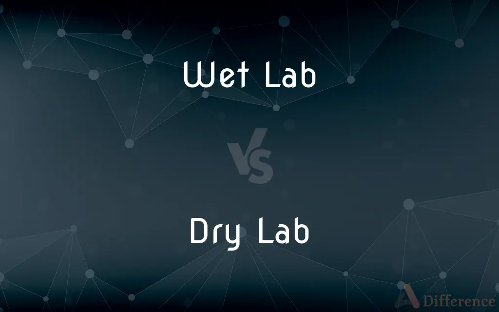 Wet Lab vs. Dry Lab — What's the Difference?