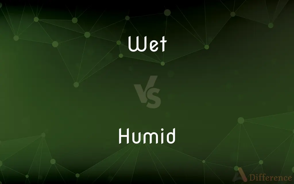Wet vs. Humid — What's the Difference?