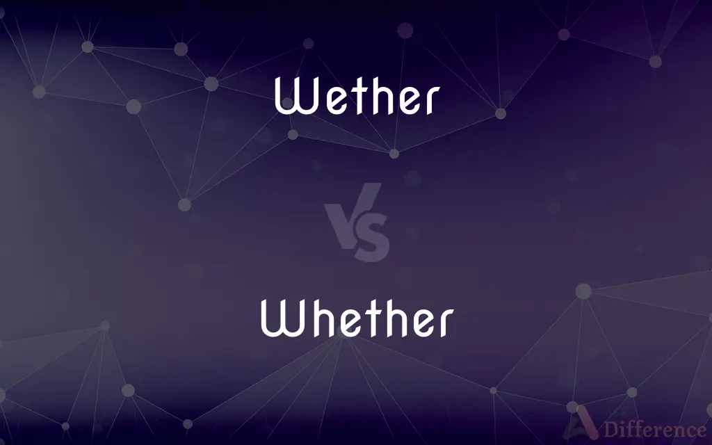 Wether vs. Whether — Which is Correct Spelling?