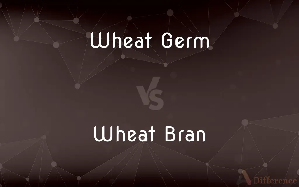 Wheat Germ vs. Wheat Bran — What's the Difference?