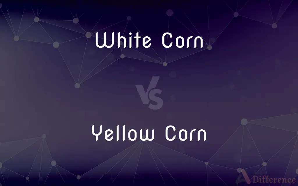 White Corn vs. Yellow Corn — What's the Difference?