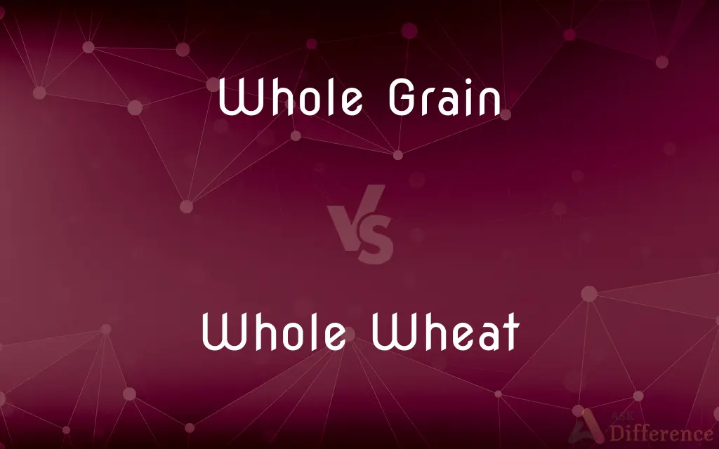 Whole Grain vs. Whole Wheat — What's the Difference?