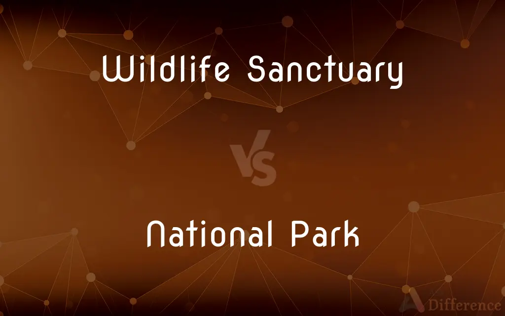 Wildlife Sanctuary vs. National Park — What's the Difference?